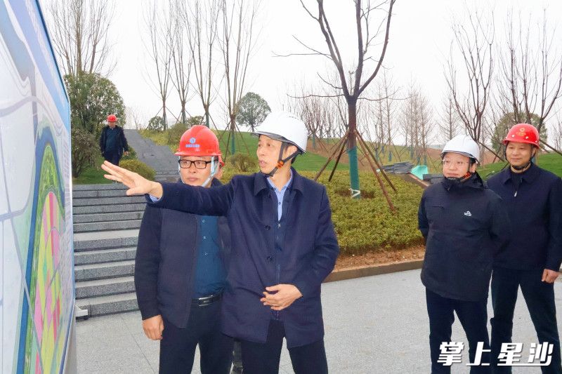 自贸会展区党工委副书记、管委会主任莫金文调研项目复工复产并检查督导安全生产工作。张梓峰 摄