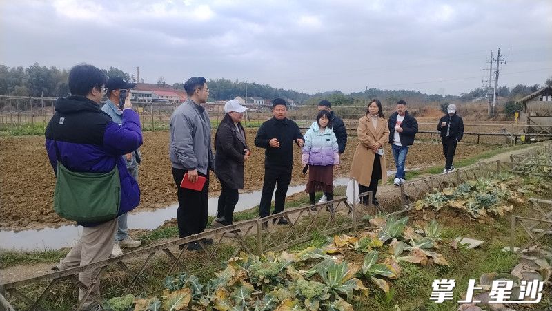 代表们走访了辖区多家文旅企业，了解其特色亮点。安沙镇供图