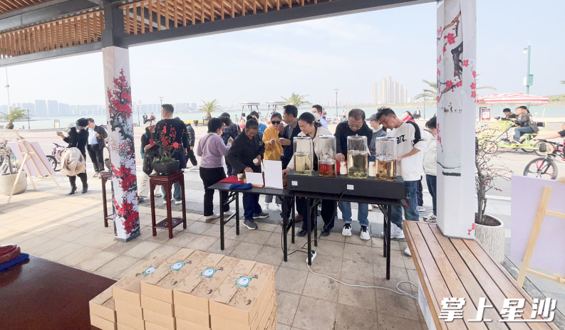 游客沉浸式体验梅花主题特色活动。松雅湖生态新城发展中心供图