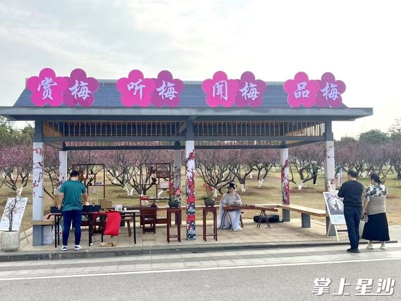 松雅湖公园引进梅花主题文旅服务，设立服务点。松雅湖生态新城发展中心供图