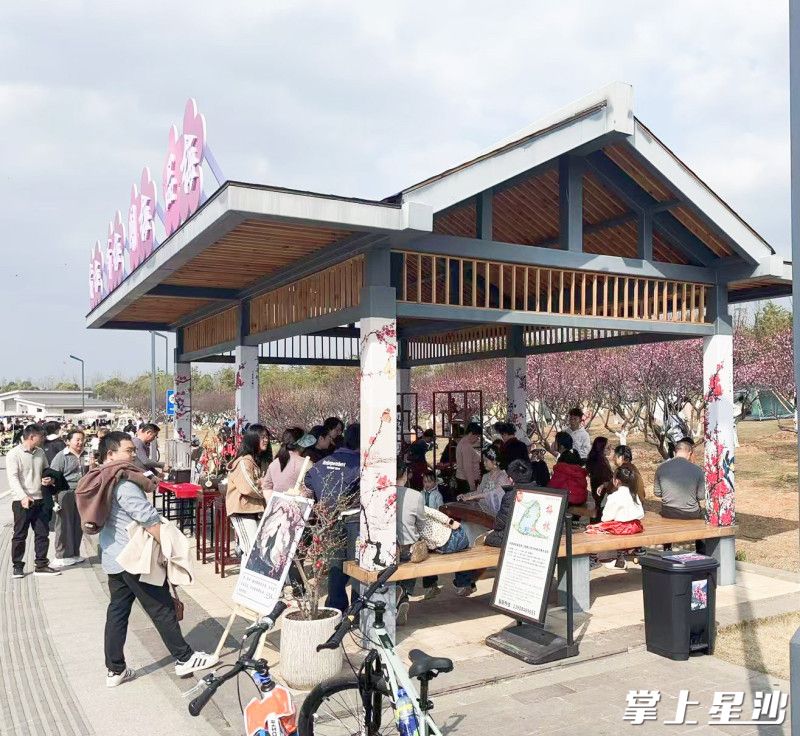 松雅湖梅花主题文旅活动吸引众多市民游客参与。松雅湖生态新城发展中心供图