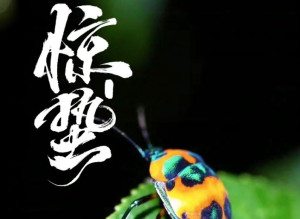 诗意繁花·二十四节气｜惊蛰：春雷隆，万物苏，黄花沃野绽芳华