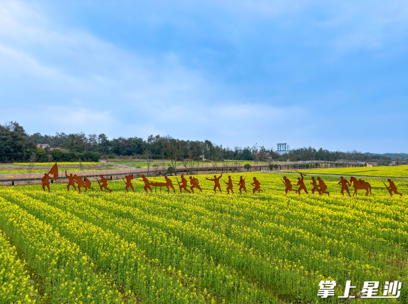 无垠的金黄花海次第铺开，呈现出一幅美丽的田园风光画卷。章帝 摄