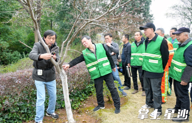 特立公园园林工人姜师傅正在请教植物养护问题。