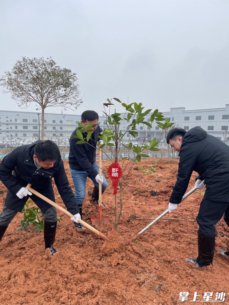 图为植树活动现场。临空集团供图