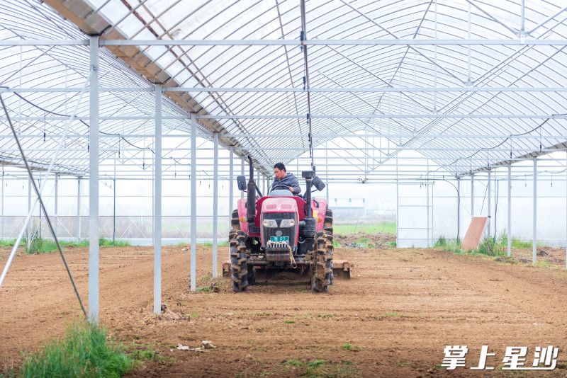 工作人员正忙着翻土。 工作人员正忙着翻土。