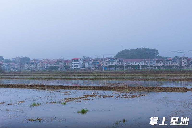 长沙县科学规划、抢抓农时,全面开展春耕备耕工作,奏响了新一年春耕备耕的“集结号”。均为刘思源 摄 长沙县科学规划、抢抓农时,全面开展春耕备耕工作,奏响了新一年春耕备耕的“集结号”。均为刘思源 摄