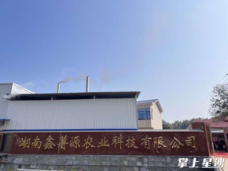 湖南鑫薯源农业科技有限公司在村上的帮扶下,由闲置厂房变身现代化工业厂房。均为金井镇供图 湖南鑫薯源农业科技有限公司在村上的帮扶下,由闲置厂房变身现代化工业厂房。均为金井镇供图