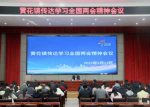 腾飞繁花｜落实“七个聚力” 推动全国两会精神落地见效