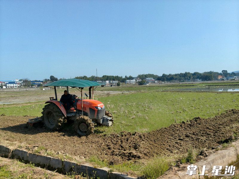 金井镇金龙村村民驾驶大型拖拉机正在翻耕农田。均为金井镇供图 金井镇金龙村村民驾驶大型拖拉机正在翻耕农田。均为金井镇供图