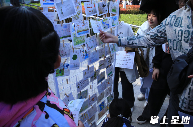 市民游客、参赛学生等纷纷在自然笔记明信片展示区停留参观。