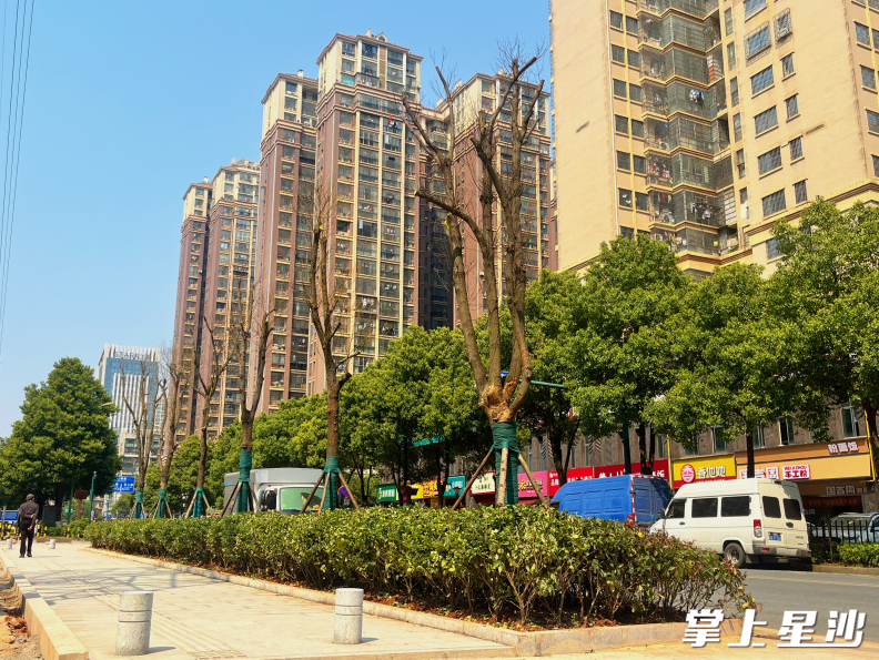 小塘路（漓湘路-阳高路）人行道修缮完毕后现场。杨欣雨 摄