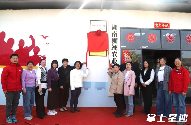 湖南狮翊博士创新站揭牌。青山铺镇供图