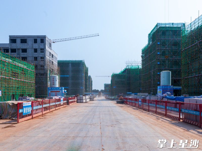 园区已初具雏形。均为刘思源 摄