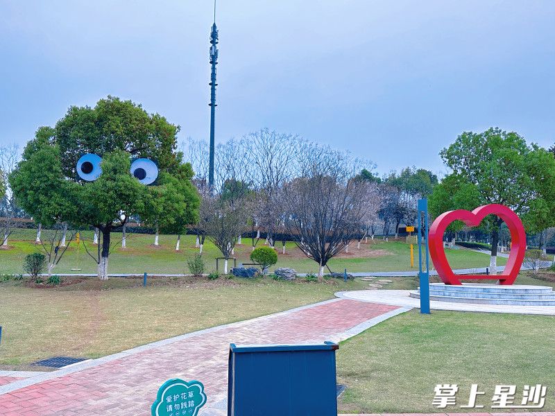 湖南松雅湖国家湿地公园内长了“大眼睛”的树。均为湖南金驰园林绿化公司供图