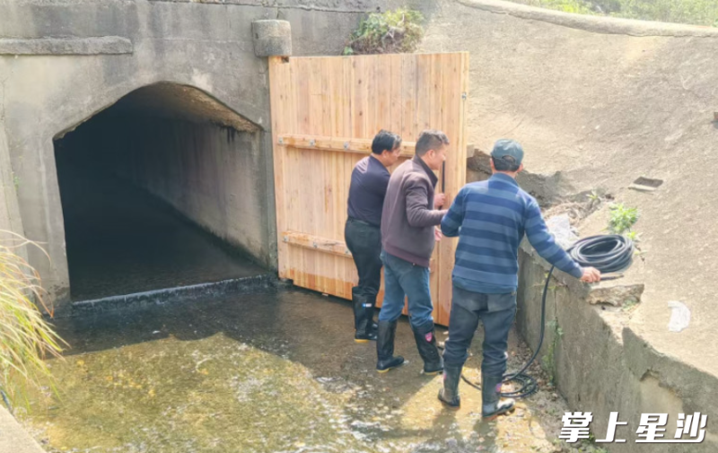 黄兴镇金凤村组织开展防汛设施检修及渠道清淤工作。黄兴镇供图