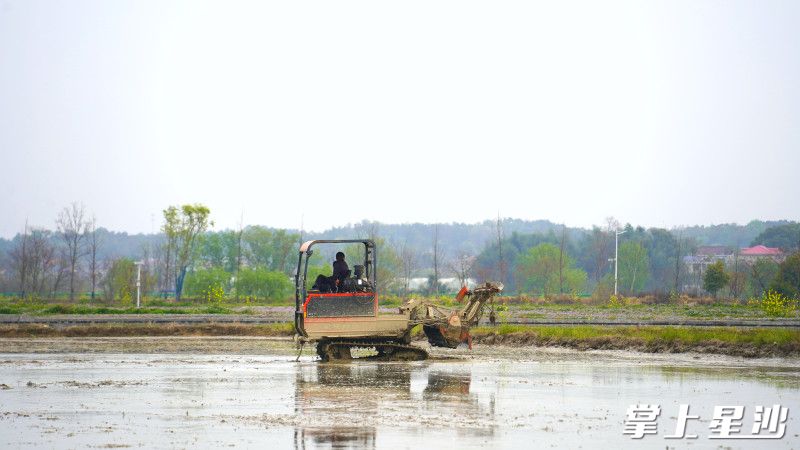 青山铺镇洪河村高标准农田间，工作人员正驾驶农机翻耕。