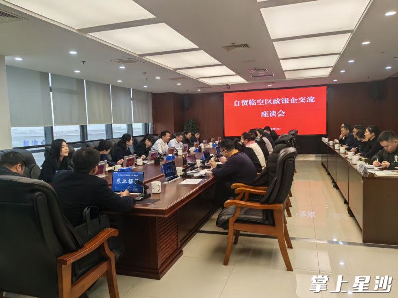 图为长沙自贸临空区政银企对接会现场。均为长沙自贸临空区供图