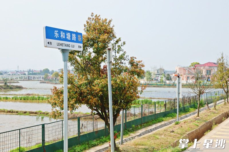 长沙县推进“乡村著名行动”，为无名道路命名。