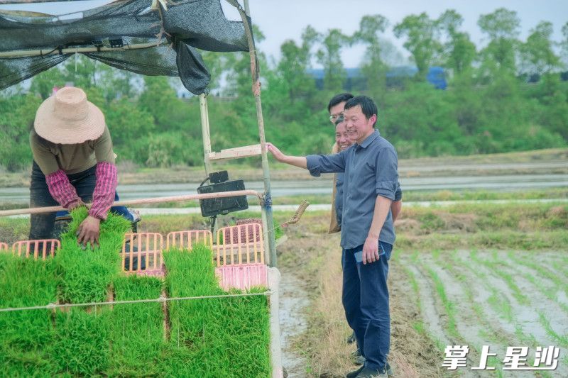 郑云光（右一）指导种粮大户合理密植秧苗。均为张庆 摄
