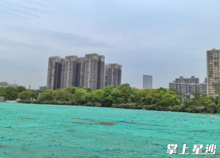 闲置地整治后，面貌一新。街道供图