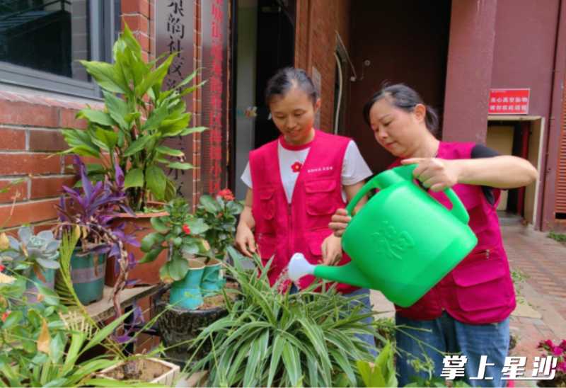 志愿者罗玛俐（左）、孟红云（右）正在认真打理“共享花园”。均为街道供图