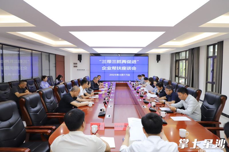 座谈会现场。阮霖浩 摄