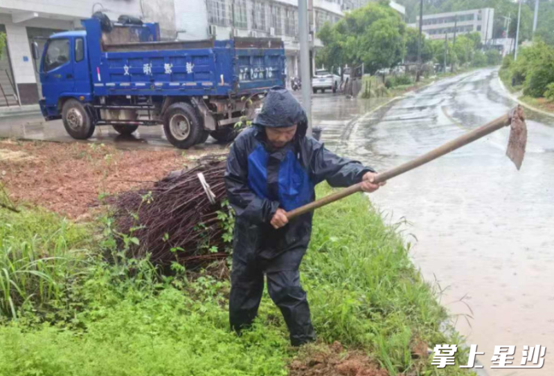 村干部在巡视过程中发现茶香路安置区路段道路积水，并开沟排水。