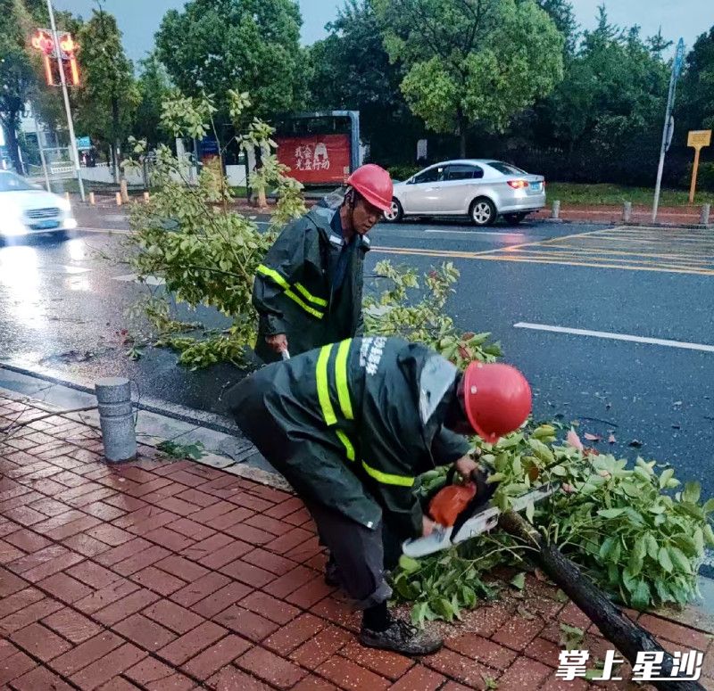 园林工人接报后迅速赶往现场清理倒伏树枝。均为长沙县城管局供图