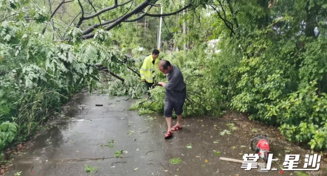 清除倾倒树木。 北山镇供图