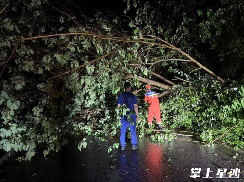 长沙县应急综合救援大队配合属地乡镇清理倒伏树木。均由长沙县应急管理局供图