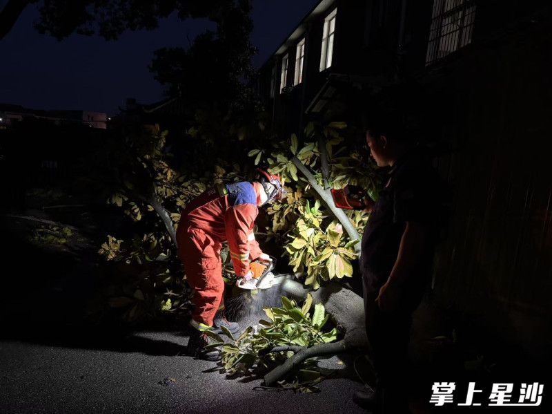 受强降雨和大风天气影响，江背镇多地出现树木倒伏情况。