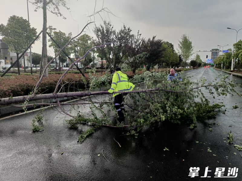 交警正在清理路障。