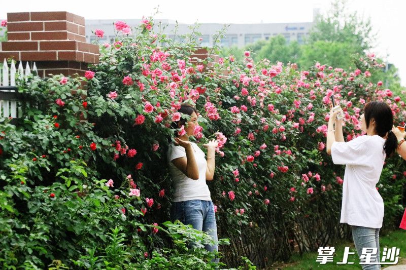 行人拍照打卡。