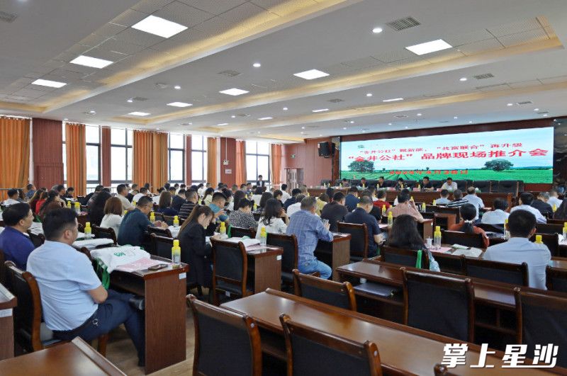 金井镇政协活动小组、镇政府要素部门、专家学者及100余名金井商会会员企业代表齐聚“共话品牌新势能·赋能发展新未来”座谈会现场，共同勾勒一个名为“金井公社”的乡村品牌梦想。均为金井镇供图