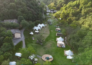 这个“五一”，“安沙小院”火爆出圈