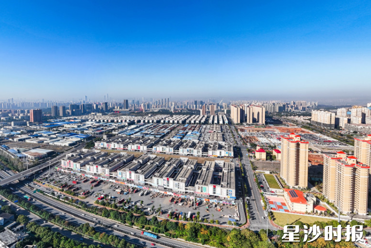 湘龙街道积极开展二手车出口业务。图为中南汽车世界全景。章帝 摄