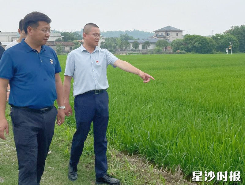 湖南农业大学植物保护学院科技特派员团队，深入长沙县均科种植专业合作社，为乡村产业发展“把脉开方”。均为黄花镇供图
