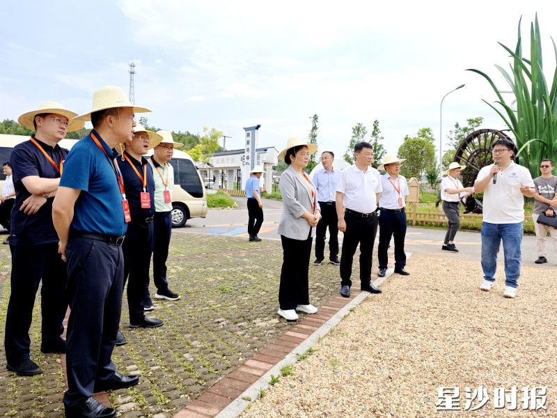 视察调研现场。杨源 摄