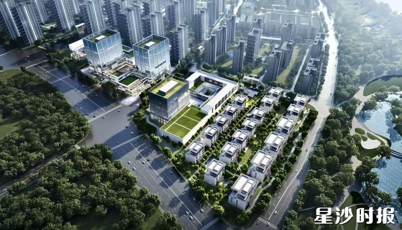 运达会展湾五期效果图。项目方供图