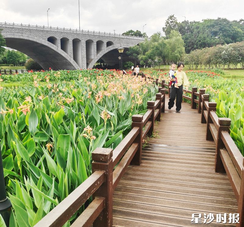 松雅湖的美人蕉花海吸引游客驻足拍照。
