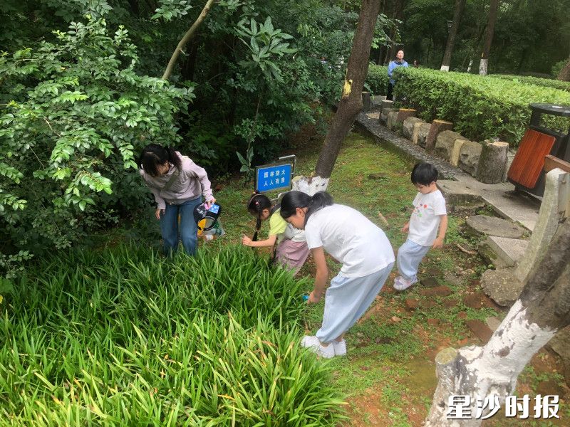 孩子们沿路寻找“宝物”。均为星城控股集团供图
