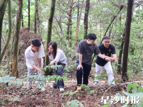 李睿明（左一）展示他新育的黄精苗。均为受访者供图