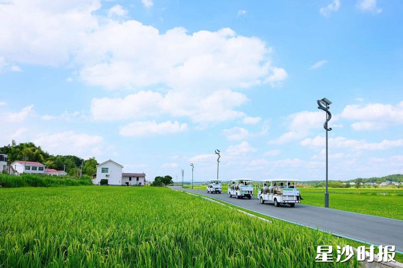 青山铺镇景色怡人，描绘了“稻乡金山、绿水青山”的和美乡村新画卷。