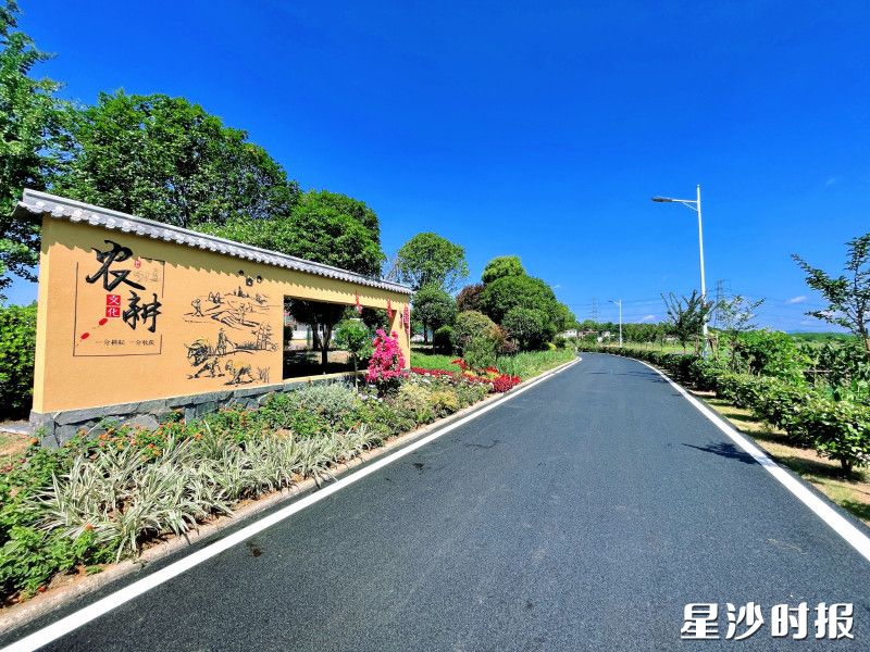 茶塘村公路提质，组级活动阵地、美丽庭院和生态菜园建设如火如荼，人居环境焕新颜。