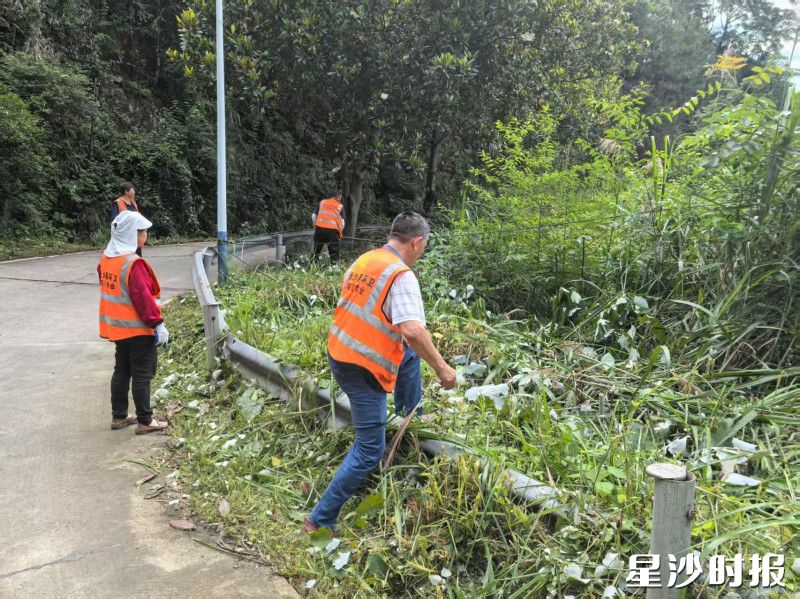 工作人员在急弯路口开展砍青除杂。