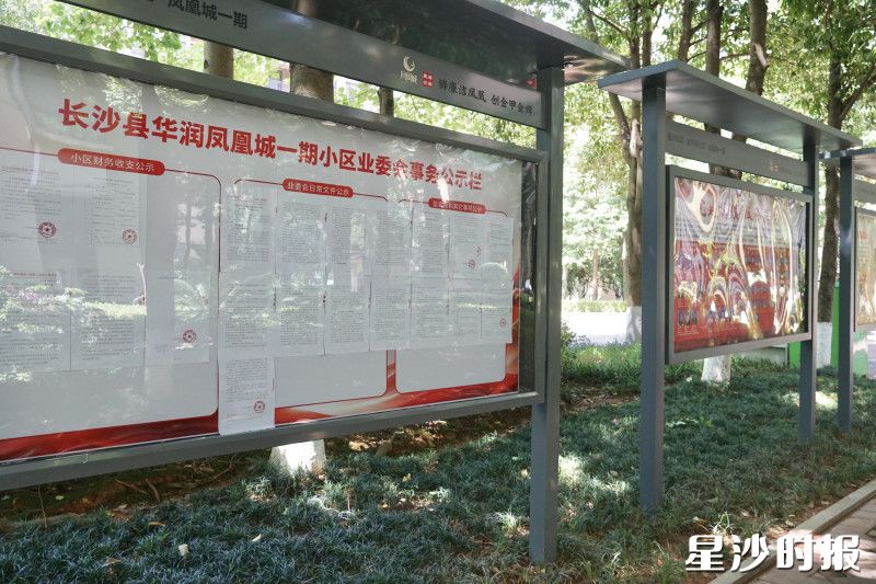 现在凤凰城一期的大小事项都会由业委会公布在公示栏。均为彭永礼 摄