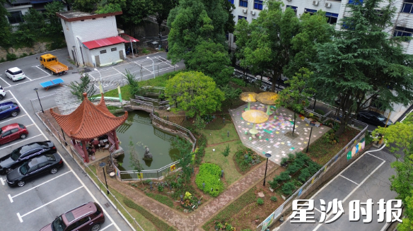 长沙县星邻西苑小区一居民楼前坪,一片曾经的低效空间,如今被薄荷的清香、绣球的蓝意、月季的热烈悄然唤醒。长沙县城管局供图 长沙县星邻西苑小区一居民楼前坪,一片曾经的低效空间,如今被薄荷的清香、绣球的蓝意、月季的热烈悄然唤醒。长沙县城管局供图