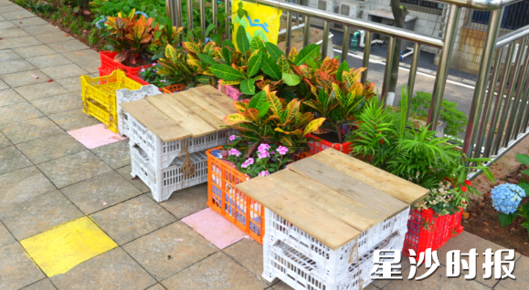 湖南农业大学学生将从周边水果店收集的废弃果篮改造为新型“座椅”,创意满满。杨欣雨 摄 湖南农业大学学生将从周边水果店收集的废弃果篮改造为新型“座椅”,创意满满。杨欣雨 摄