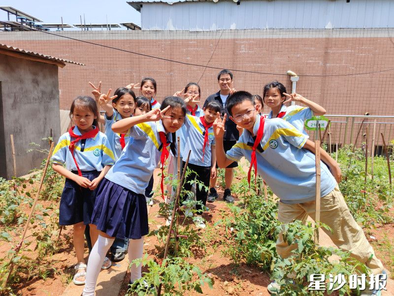 孩子们化身“小农夫”，在挂满果实的田垄间穿梭。均为学校供图